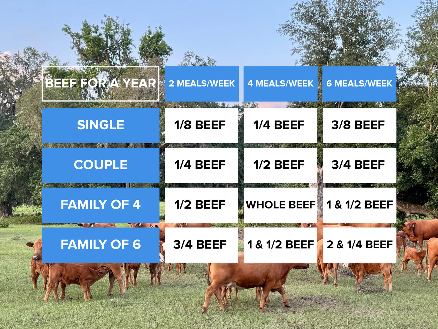 1/8 of Beef – Perfect for Smaller Households