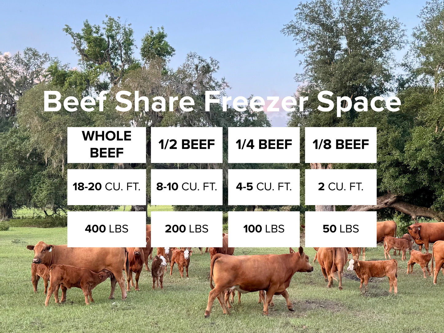 1/8 of Beef – Perfect for Smaller Households